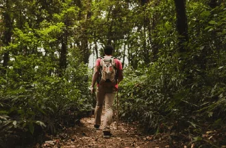 A trekker on a forest trail